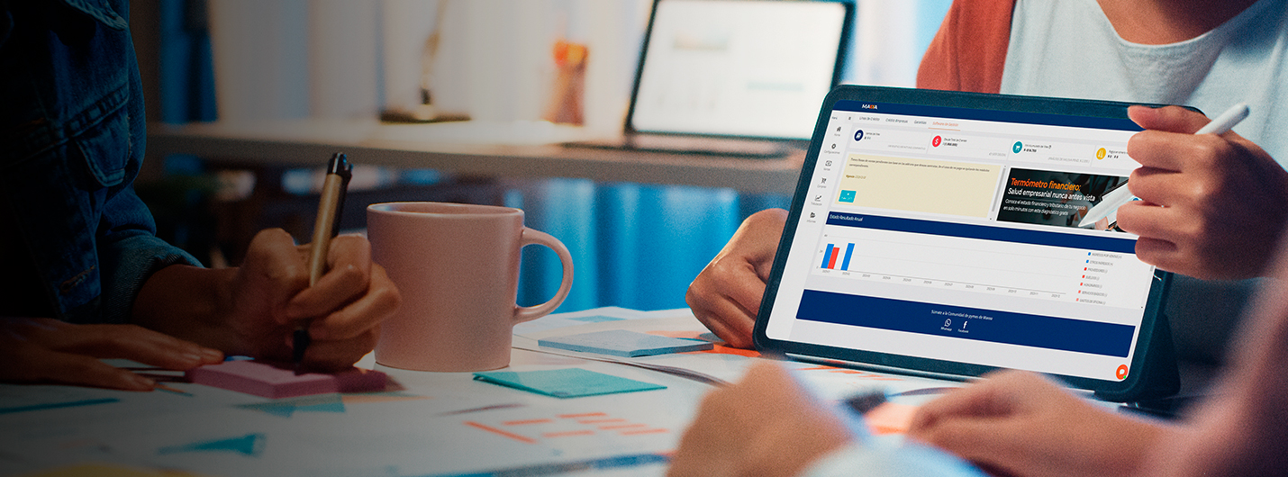 Software Financiero